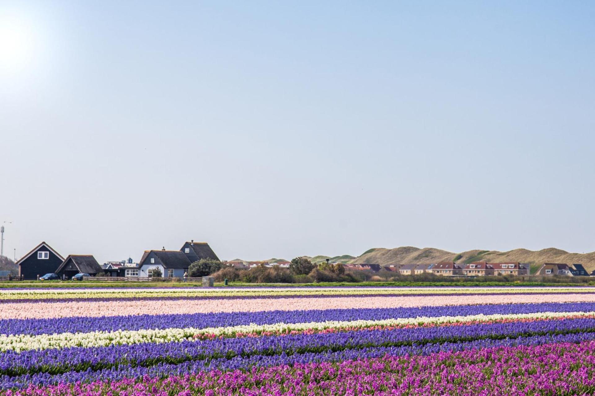 Vakantiehuis Zilt - Julianadorp Aan Zee Ngoại thất bức ảnh